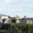 montone